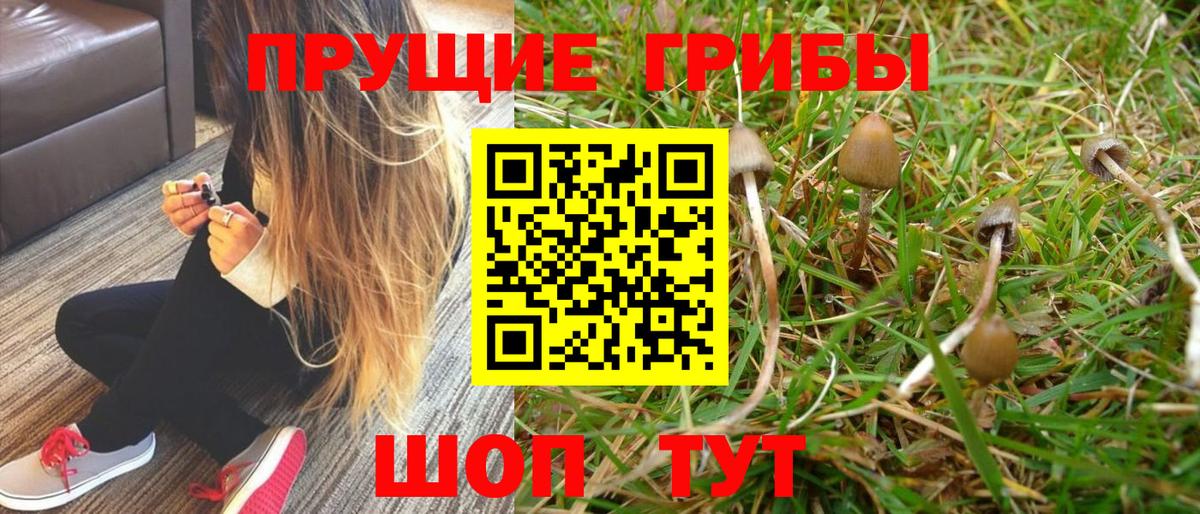 Усинск  Галлюциногенные грибы GOLDEN TEACHER  Псилоцибиновые грибы GOLDEN TEACHER  Вход с VPN 